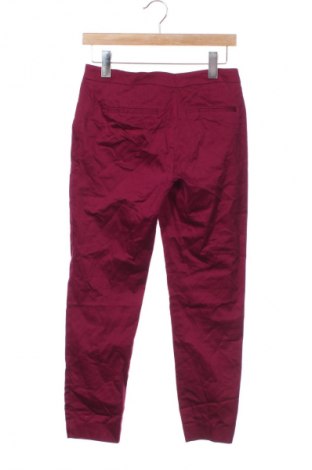 Damenhose Hallhuber, Größe M, Farbe Lila, Preis € 25,99