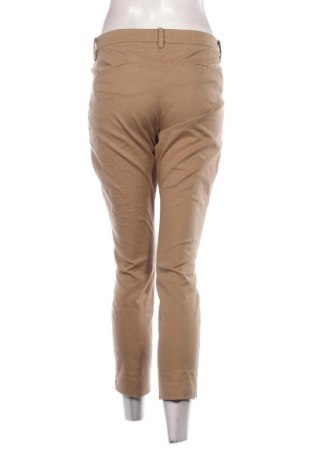 Damenhose Marc O'Polo, Größe XL, Farbe Braun, Preis € 29,99