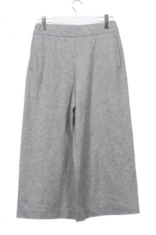 Damenhose Massimo Dutti, Größe S, Farbe Grau, Preis € 31,71