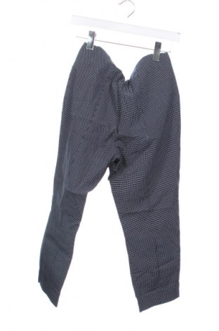 Damenhose Stehmann, Größe L, Farbe Mehrfarbig, Preis € 14,99