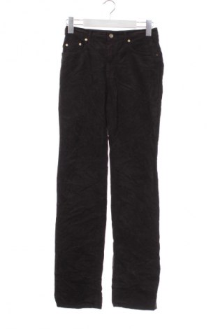 Damskie spodnie Trussardi Jeans, Rozmiar XS, Kolor Brązowy, Cena 148,99 zł