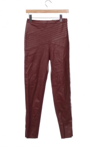 Damenhose Zara, Größe S, Farbe Rot, Preis € 17,99