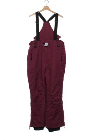 Pantaloni de damă pentru sporturi de iarnă Crane, Mărime XXL, Culoare Mov, Preț 102,99 Lei