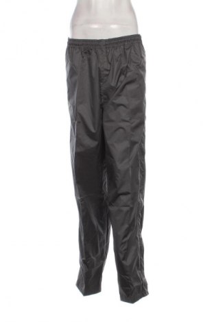 Дамски панталон за зимни спортове Crane, Размер M, Цвят Сив, Цена 32,99 лв.