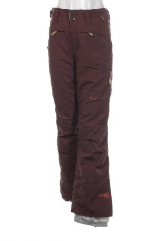 Damenhose für Wintersport Protest, Größe M, Farbe Braun, Preis 23,99 €