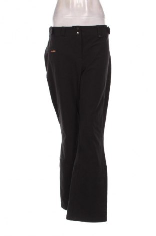 Дамски панталон за зимни спортове Unbranded, Размер L, Цвят Черен, Цена 29,99 лв.