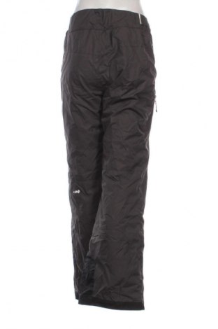 Dámske nohavice pre zimné športy Unbranded, Veľkosť L, Farba Sivá, Cena  19,95 €