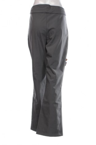 Damenhose für Wintersport Unbranded, Größe XL, Farbe Grau, Preis € 24,99