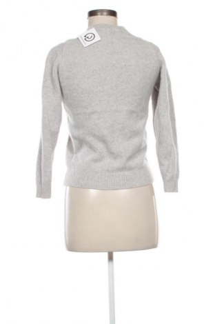 Damenpullover Alan Paine, Größe XS, Farbe Grau, Preis € 31,71