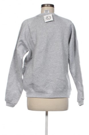 Damenpullover Hanes, Größe M, Farbe Grau, Preis € 12,99