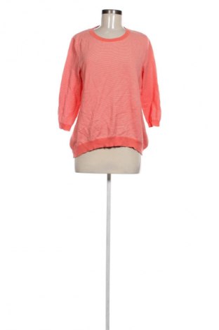 Γυναικείο πουλόβερ Peter Hahn, Μέγεθος XL, Χρώμα Ρόζ , Τιμή 15,99 €