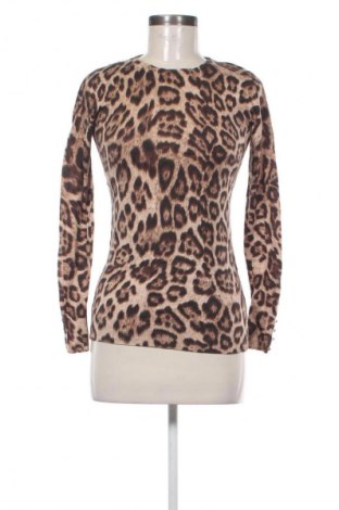 Damenpullover Warehouse, Größe XS, Farbe Mehrfarbig, Preis € 11,99