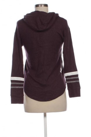 Γυναικείο φούτερ Marks & Spencer, Μέγεθος XS, Χρώμα Βιολετί, Τιμή 37,99 €