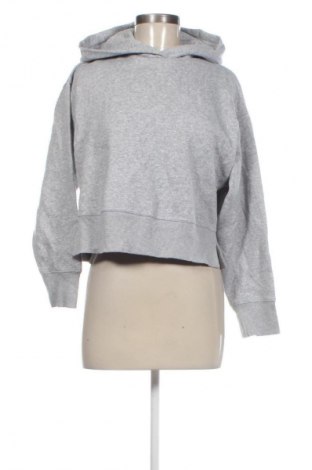 Damen Sweatshirt Zara, Größe S, Farbe Grau, Preis € 19,99