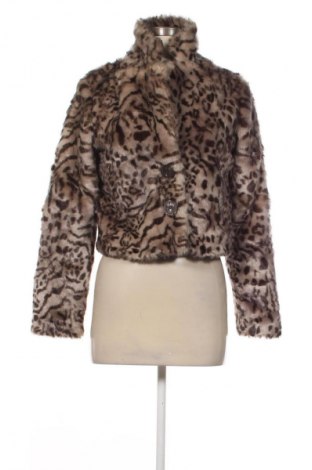 Dámsky kabát  Fashionable, Veľkosť S, Farba Viacfarebná, Cena  19,95 €