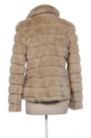 Dámský kabát  Next, Velikost M, Barva Béžová, Cena  1 213,00 Kč