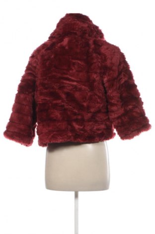 Dámský kabát  Primadonna, Velikost M, Barva Červená, Cena  659,00 Kč