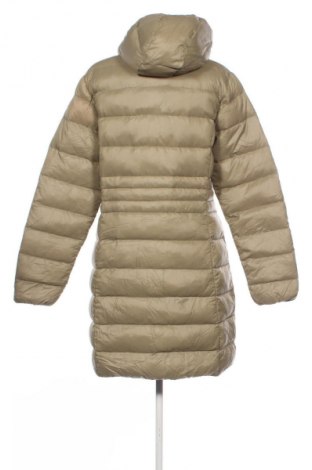 Damenjacke CMP, Größe L, Farbe Grün, Preis 39,99 €