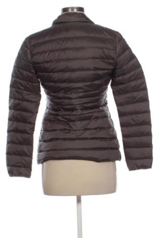 Damenjacke Geox, Größe XS, Farbe Braun, Preis € 104,00