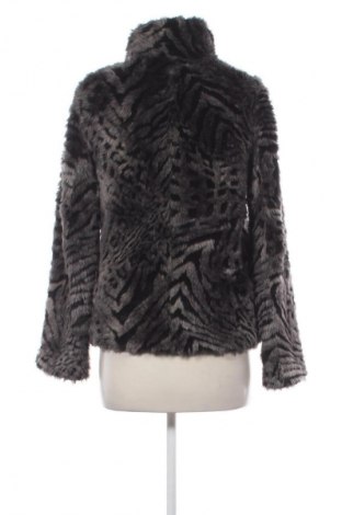 Damenjacke H&M, Größe XS, Farbe Mehrfarbig, Preis 33,99 €