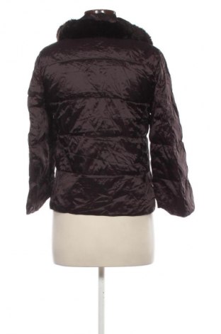 Damenjacke Max&Co., Größe XS, Farbe Braun, Preis € 224,99