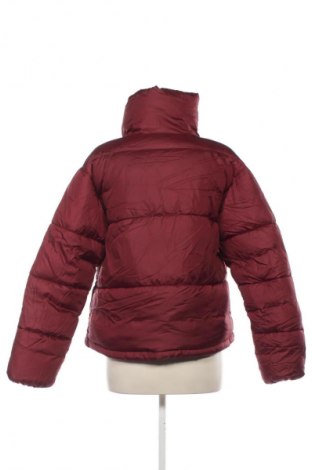 Damenjacke Terranova, Größe L, Farbe Rot, Preis 12,99 €