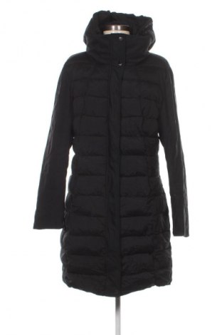 Dámská bunda  Unbranded, Velikost XXL, Barva Černá, Cena  799,00 Kč