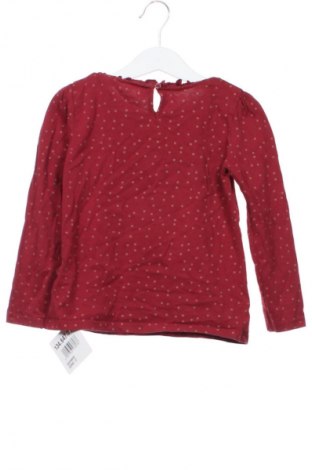 Dětská halenka  C&A, Velikost 5-6y/ 116-122 cm, Barva Vícebarevné, Cena  144,00 Kč