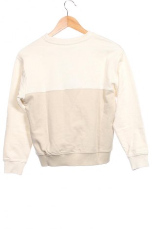 Kinder Shirt Calvin Klein Jeans, Größe 10-11y/ 146-152 cm, Farbe Mehrfarbig, Preis € 67,99