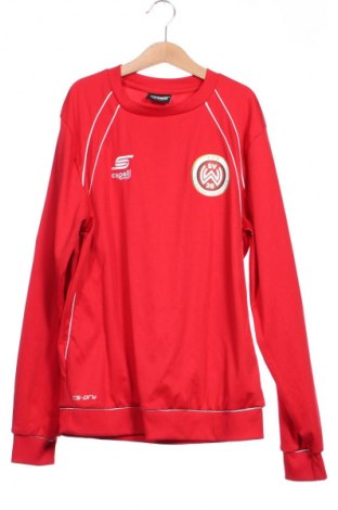 Παιδική μπλούζα Capelli, Μέγεθος 14-15y/ 168-170 εκ., Χρώμα Κόκκινο, Τιμή 7,99 €