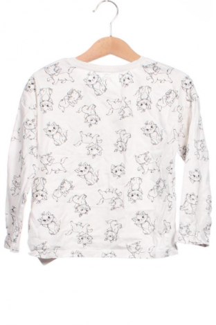 Dziecięca bluzka Disney, Rozmiar 5-6y/ 116-122 cm, Kolor ecru, Cena 27,59 zł