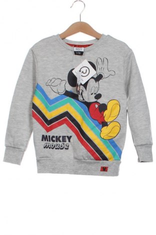 Dziecięca bluzka Disneyland, Rozmiar 3-4y/ 104-110 cm, Kolor Szary, Cena 41,38 zł