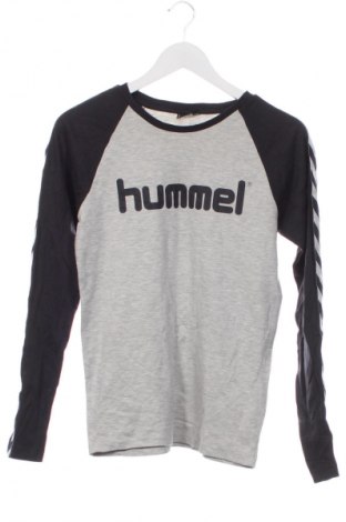 Kinder Shirt Hummel, Größe 15-18y/ 170-176 cm, Farbe Mehrfarbig, Preis 9,99 €