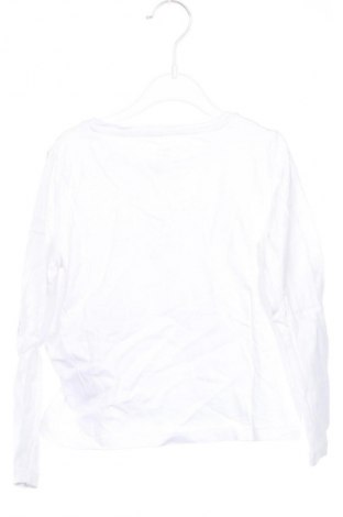 Dětská halenka  Kids, Velikost 5-6y/ 116-122 cm, Barva Vícebarevné, Cena  144,00 Kč