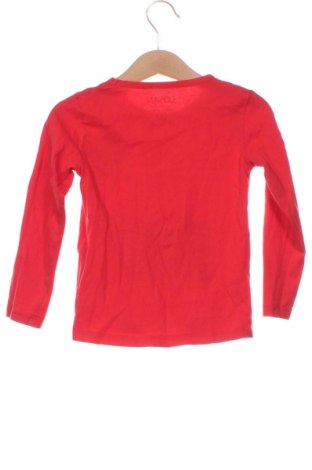 Παιδική μπλούζα Losan, Μέγεθος 3-4y/ 104-110 εκ., Χρώμα Πολύχρωμο, Τιμή 5,83 €