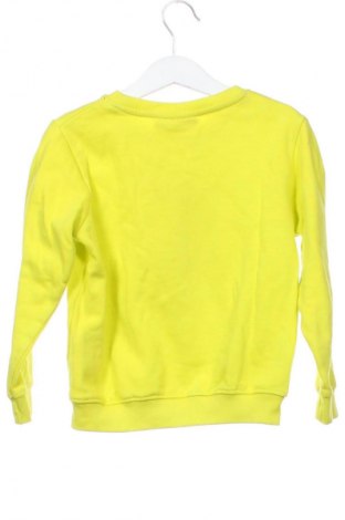 Dziecięca bluzka Lupilu, Rozmiar 4-5y/ 110-116 cm, Kolor Zielony, Cena 27,59 zł