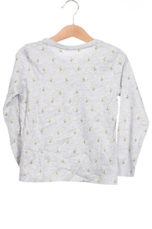 Dětská halenka  Primark, Velikost 3-4y/ 104-110 cm, Barva Vícebarevné, Cena  144,00 Kč