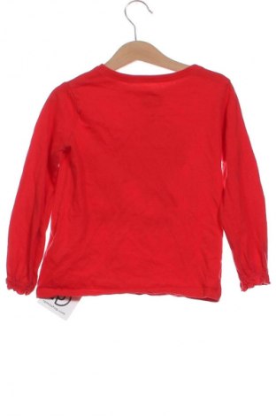 Dětská halenka  Sinsay, Velikost 4-5y/ 110-116 cm, Barva Vícebarevné, Cena  152,00 Kč