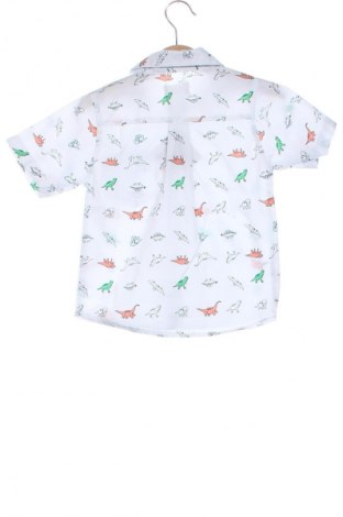 Dziecięca koszula ALEX, Rozmiar 2-3y/ 98-104 cm, Kolor Kolorowy, Cena 27,59 zł