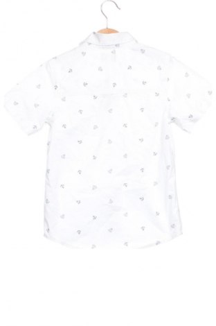 Kinderhemd Oshkosh, Größe 5-6y/ 116-122 cm, Farbe Mehrfarbig, Preis 6,14 €