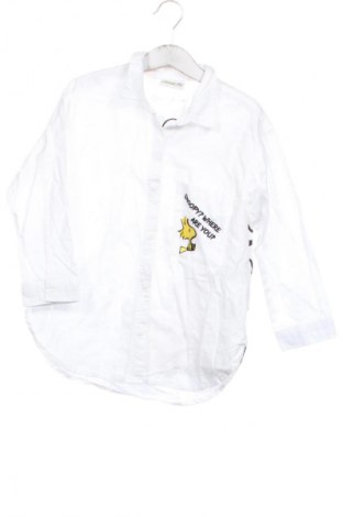 Dětská košile  Zara, Velikost 5-6y/ 116-122 cm, Barva Bílá, Cena  178,00 Kč