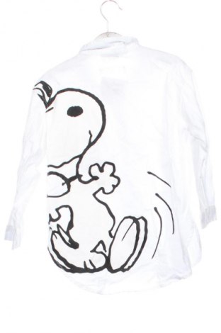 Dětská košile  Zara, Velikost 5-6y/ 116-122 cm, Barva Bílá, Cena  178,00 Kč