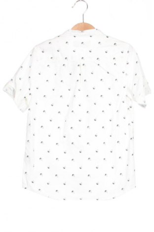 Gyerek ing Zara, Méret 6-7y / 122-128 cm, Szín Sokszínű, Ár 2 812 Ft