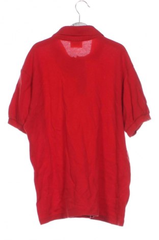 Dziecięcy T-shirt Lacoste, Rozmiar 14-15y/ 168-170 cm, Kolor Czerwony, Cena 77,75 zł