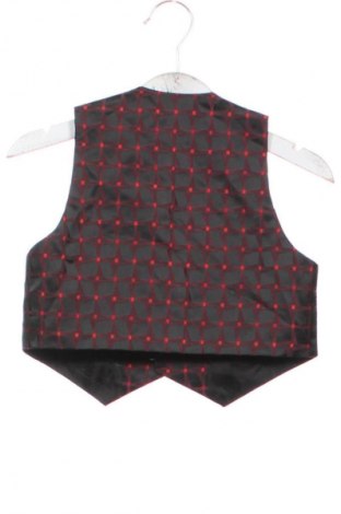 Detská vesta  Unbranded, Veľkosť 9-12m/ 74-80 cm, Farba Viacfarebná, Cena  17,59 €