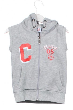 Vestă pentru copii Unbranded, Mărime 3-4y/ 104-110 cm, Culoare Gri, Preț 56,59 Lei