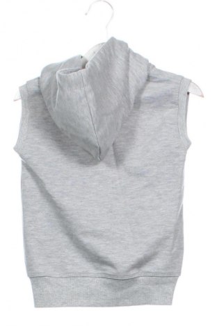 Vestă pentru copii Unbranded, Mărime 3-4y/ 104-110 cm, Culoare Gri, Preț 56,59 Lei