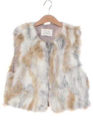 Detská vesta  Zara, Veľkosť 10-11y/ 146-152 cm, Farba Viacfarebná, Cena  8,95 €