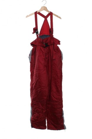 Detský overal pre zimné športy Active, Veľkosť 12-13y/ 158-164 cm, Farba Červená, Cena  35,95 €