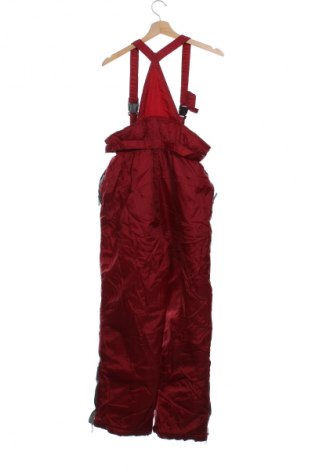 Detský overal pre zimné športy Active, Veľkosť 12-13y/ 158-164 cm, Farba Červená, Cena  35,95 €